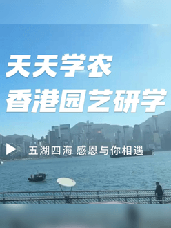 与香港园艺学会联合举办香港园艺研学，专业园境师带队讲解。